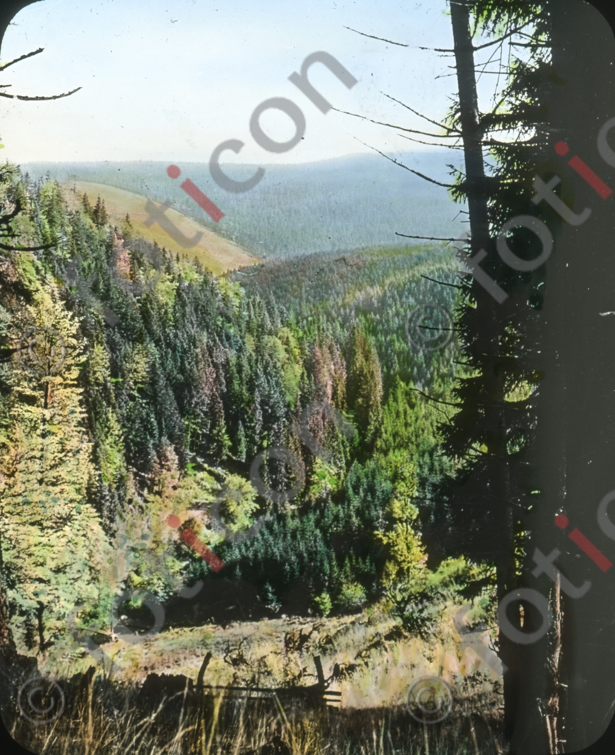 Über die Wälder I Above the woods - Foto foticon-simon-168-027.jpg | foticon.de - Bilddatenbank für Motive aus Geschichte und Kultur